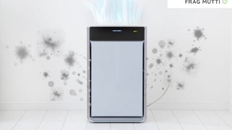 luftreiniger test