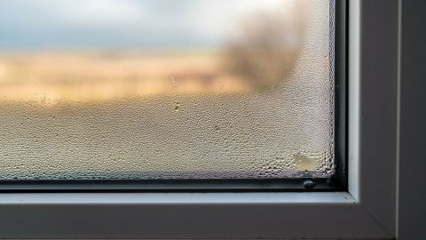 Beschlagene Fenster zeigen Kondenswasser auf der Innenseite, während eine unscharfe Landschaft im Hintergrund sichtbar ist.