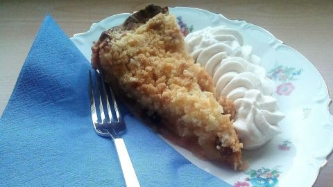 Ein Stück Apfelkuchen mit Streuseln liegt auf einem blumengemusterten Teller, neben schaumiger Zimtsahne und einer Gabel.