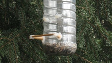 Eine Einwegflasche hängt an einem Baumzweig und dient als Futterstelle für Gartenvögel, gefüllt mit Sonnenblumenkernen.