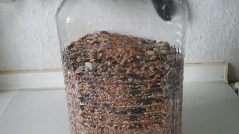 Diese große 5-Liter-Plastikflasche dient zukünftig zur Aufbewahrung von Vogelfutter und schont somit die Umwelt. Eine große Plastikflasche steht auf einer Küchenfläche und enthält verschiedene Samen. Sie ist für die Lagerung gedacht.