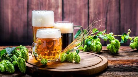 Drei Gläser Bier stehen auf einem Holzbrett, umgeben von frischem Hopfen und Gerste in einer rustikalen Umgebung.