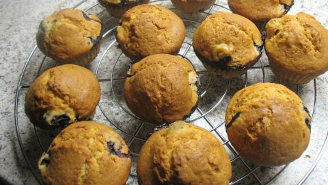 Frisch gebackene Blaubeer-Muffins stehen auf einem Kuchengitter in einer hellen Küchenszene.