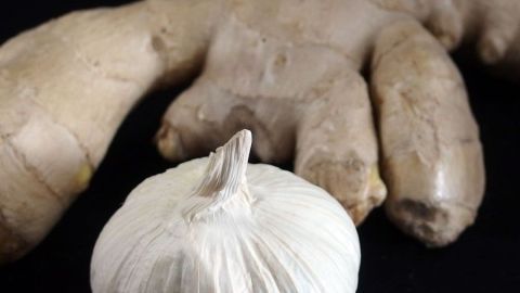 Ingwer-Knoblauch-Paste wird aus frischem Ingwer und einer Knoblauchknolle zubereitet, auf dunklem Hintergrund.