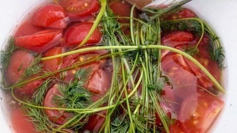 Eingelegte Tomaten mit Dill & Knoblauch
