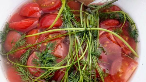 Eingelegte Tomaten mit Dill und Knoblauch schwimmen in einer marinierten Flüssigkeit in einer Schüssel.