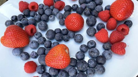 Frische Beeren wie Erdbeeren und Himbeeren liegen auf einem weißen Teller, umgeben von blauen Heidelbeeren.
