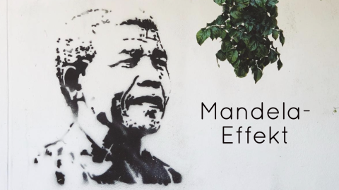 Ein Schwarz-Weiß-Bild zeigt das Porträt von Nelson Mandela auf einer Wand, während grünes Blattwerk daneben wächst.