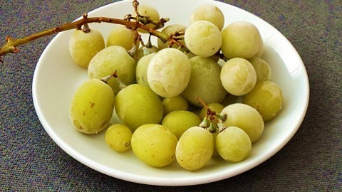 Tiefgefrorene Weintrauben knabbern – köstlich!