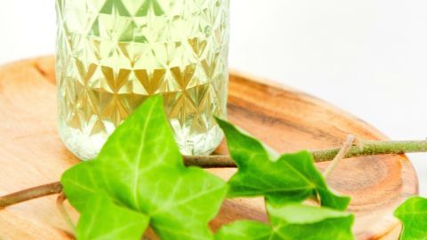 Ein Glas mit einer klaren, leicht grünen Flüssigkeit steht auf einem Holzbrett, umgeben von frischen Efeublättern.