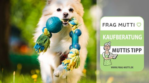 Hundespielzeug Test & Vergleich: 5 günstige Empfehlungen