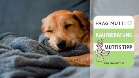 hundedecken test