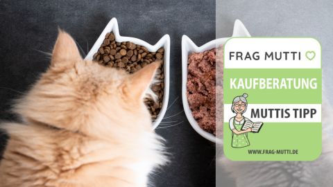 katzenfutter test