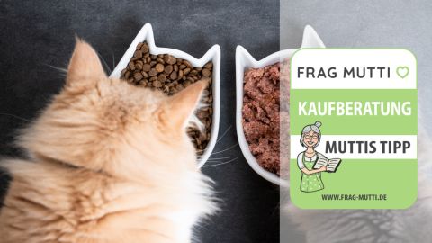 Katzenfutter Test & Vergleich: 6 günstige Empfehlungen