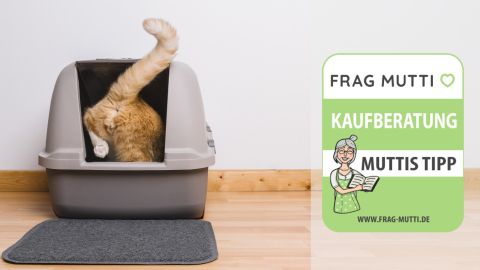 katzenklo test
