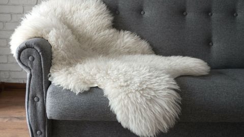 Ein weißes Schaffell liegt lässig auf einem grauen Sofa in einem hellen Raum, bereit zur Reinigung mit Hundeshampoo.