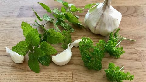 Frischer Knoblauch und Kräuter liegen auf einem Holzuntergrund, was auf natürliche Methoden zur Geruchsentfernung hinweist.
