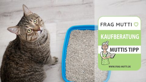 katzenstreu test
