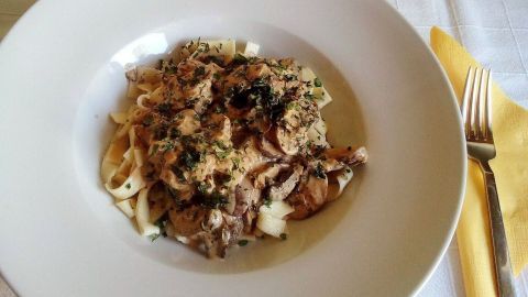 Tagliatelle liegen unter einer cremigen Pilzsauce, garniert mit frischen Kräutern, auf einem weißen Teller.