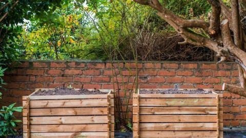 Zwei Holzkisten mit Kompost stehen in einem Garten hinter einer roten Ziegelmauer, umgeben von Pflanzen und Bäumen.
