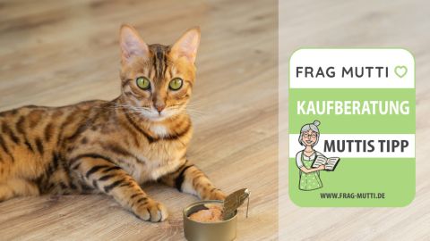 katzenfutter nass test
