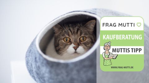 katzenhoehle test