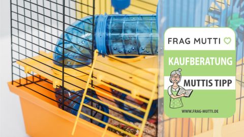 Hamsterkäfige Test & Vergleich: 6 günstige Empfehlungen