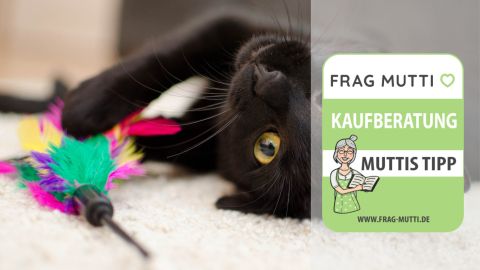 Katzenspielzeug Test & Vergleich: 6 günstige Empfehlungen