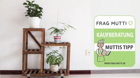 Blumenständer Test & Vergleich: 6 günstige Empfehlungen