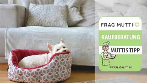 hundebett test