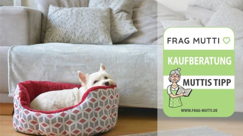 Hundebetten Test & Vergleich: 7 günstige Empfehlungen