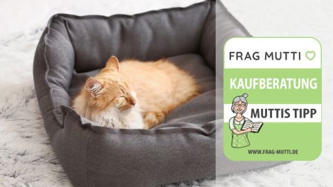 Katzenbetten Test & Vergleich: 6 günstige Empfehlungen