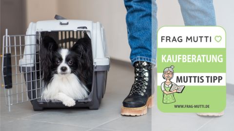 Hundebox Test & Vergleich: 6 günstige Empfehlungen