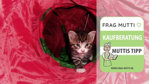 katzentunnel test