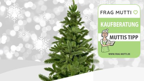 Christbaum Test & Vergleich: 6 günstige Empfehlungen