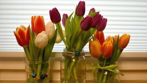 Bunte Tulpen in Gläsern stehen dekorativ auf einem Tisch vor einem Fenster und schaffen eine fröhliche Frühlingsatmosphäre.