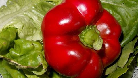 Eine rote Paprika liegt auf frischem, grünem Salat in einer Schüssel und zeigt ihre knackige, saftige Form.