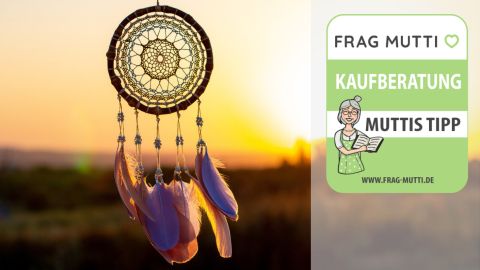 traumfaenger test
