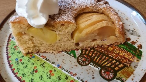 Ein Stück Apfelschlupfkuchen mit Dinkelvollkornmehl liegt auf einem bunten Teller, garniert mit Sahne.