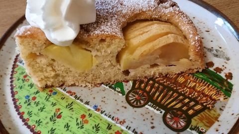 Apfelschlupfkuchen mit Dinkelvollkornmehl