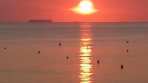 Ein Sonnenuntergang reflektiert auf dem ruhigen Wasser, während ein Schiff in der Ferne am Horizont zu sehen ist.
