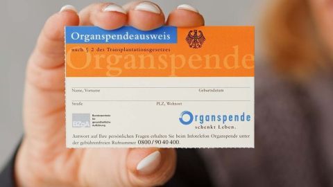 Eine Person hält einen Organspendeausweis, der Informationen zur Organspende enthält, vor einem neutralen Hintergrund.