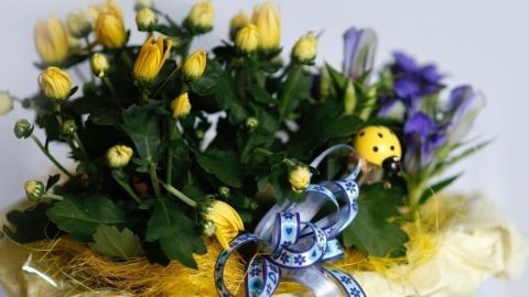 Eine mit gelben und lila Blumen bepflanzte, geschmückte Blumentopf steht auf einer Tischfläche und strahlt Fröhlichkeit aus.