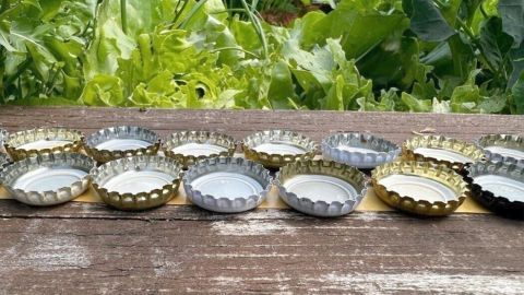 Auf einer Holztischplatte stehen mehrere runde, flache Schalen aus Metall, umgeben von frischem Gemüse im Garten.