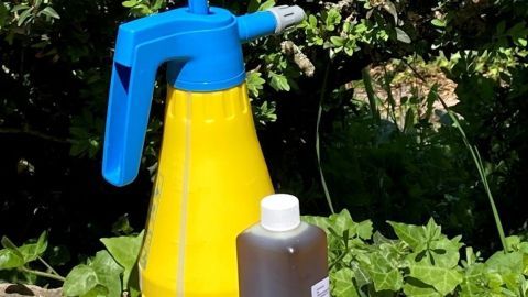 Eine gelbe Sprühflasche steht neben einer braunen Flasche, umgeben von grünen Pflanzen, bereit zum Bekämpfen des Buchsbaumzünslers mit Neemöl.