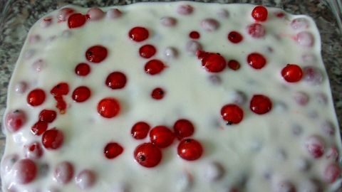 Ein schmackhaftes Johannisbeer-Tiramisu liegt in einer Glasform, bedeckt mit frischen roten Johannisbeeren und einer cremigen Schicht.