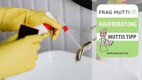badreiniger test