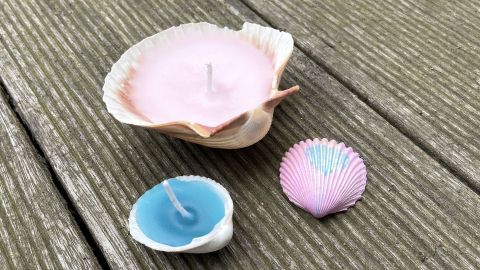 Muschelkerzen stehen auf einer Holzoberfläche; die bunten Wachskerzen in Muscheln strahlen maritimen Charme aus.