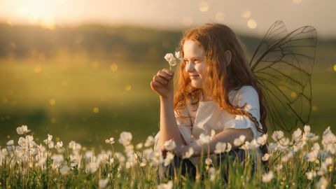 Ein Mädchen mit Feenflügeln hält eine Blume in einem blühenden Feld, umgeben von Sonnenlicht und sanften Farben.