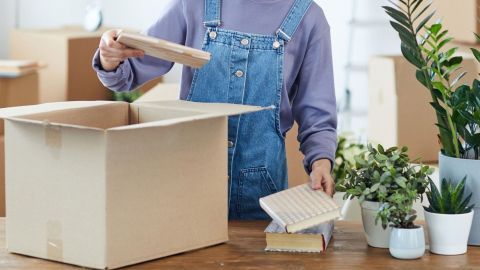 Eine Person packt Bücher in einen Karton auf einem Tisch, um sich auf den Umzug vorzubereiten, während Pflanzen im Hintergrund stehen.